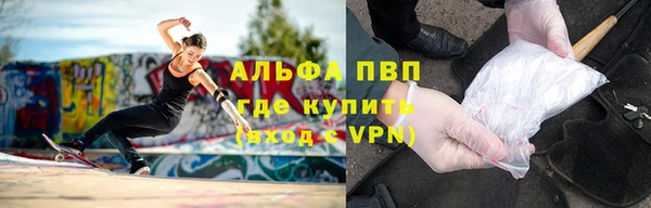 тгк Каменногорск