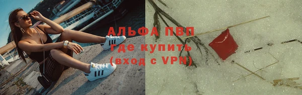 тгк Каменногорск
