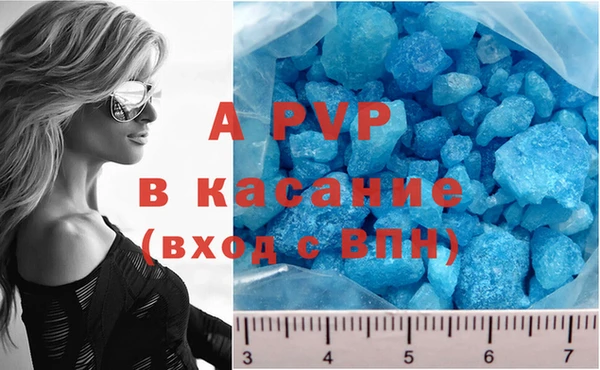 тгк Каменногорск