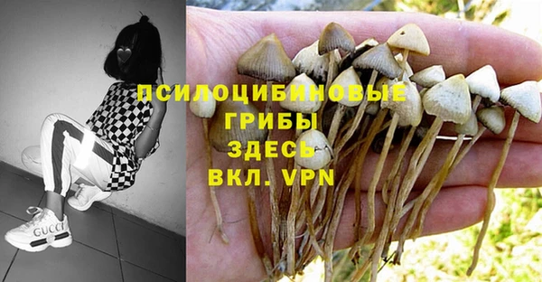 каннабис Инта