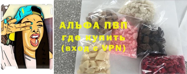 тгк Каменногорск