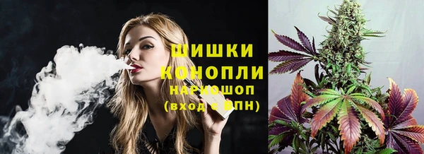 тгк Каменногорск
